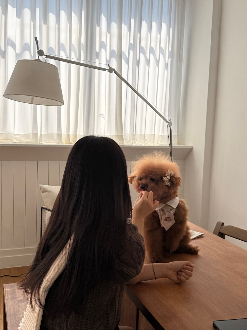 ［tak!tak!tak!tak!］Vintage Stripe Bustier（beige）