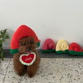 予約［tak!tak!tak!tak!］Water melon cap （帽子単品）