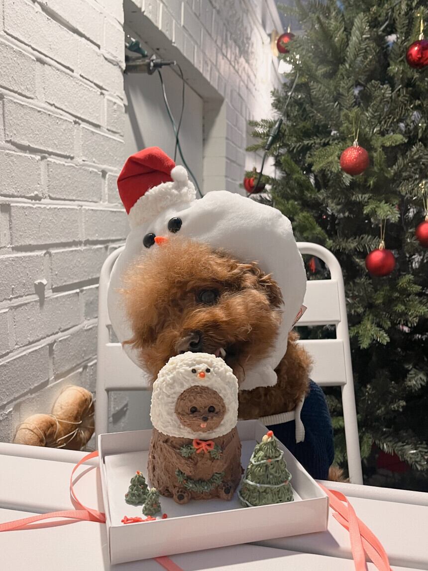 ［tak!tak!tak!tak!］SnowMan cap （帽子単品）
