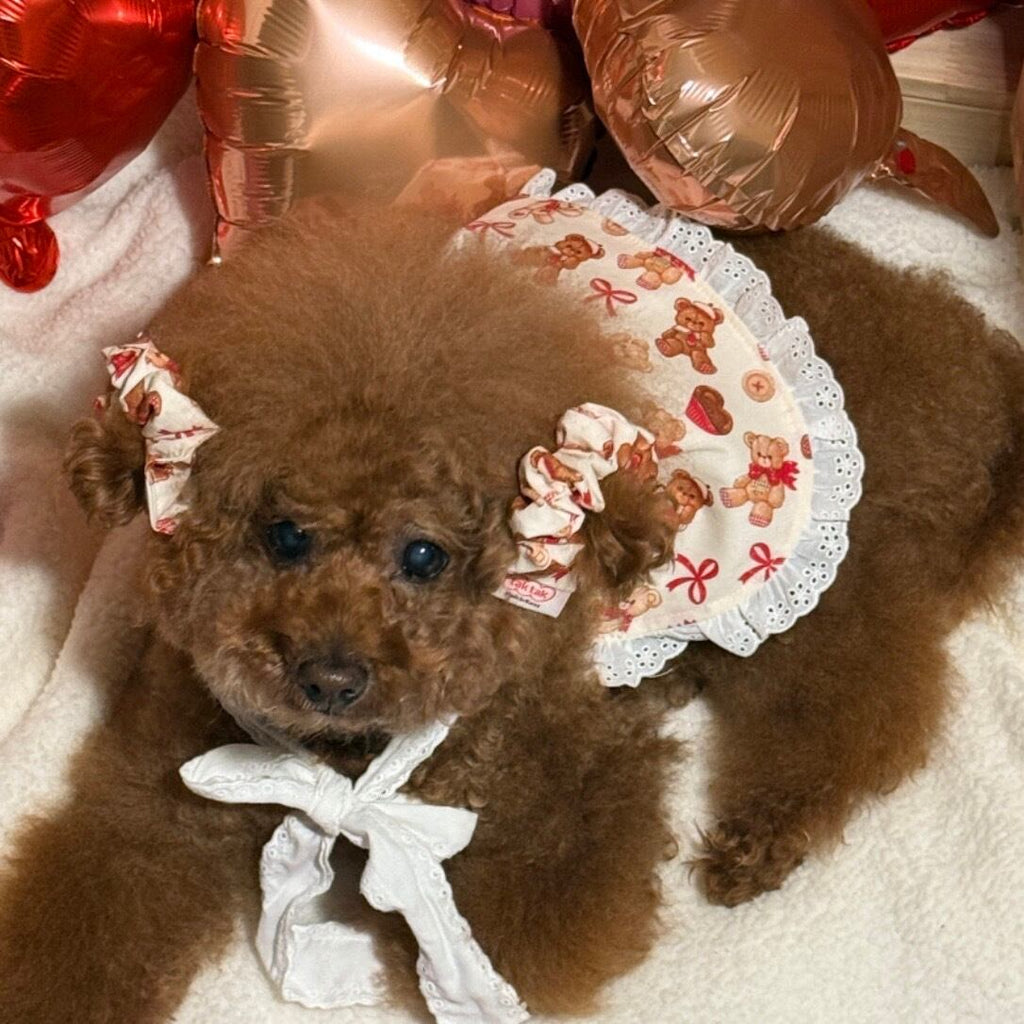 予約［tak!tak!tak!tak!］teddy biscuit shushu/シュシュ2個セット