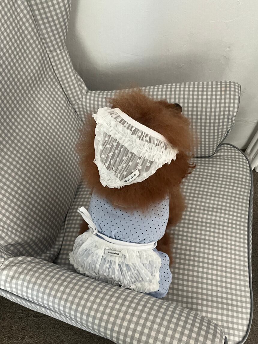 わんこ用［tak!tak!tak!tak!］Pure Lace  Headscarf