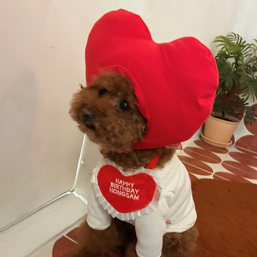 即納［tak!tak!tak!tak!］puppy layered gorge t-shirt (basic t shirt )