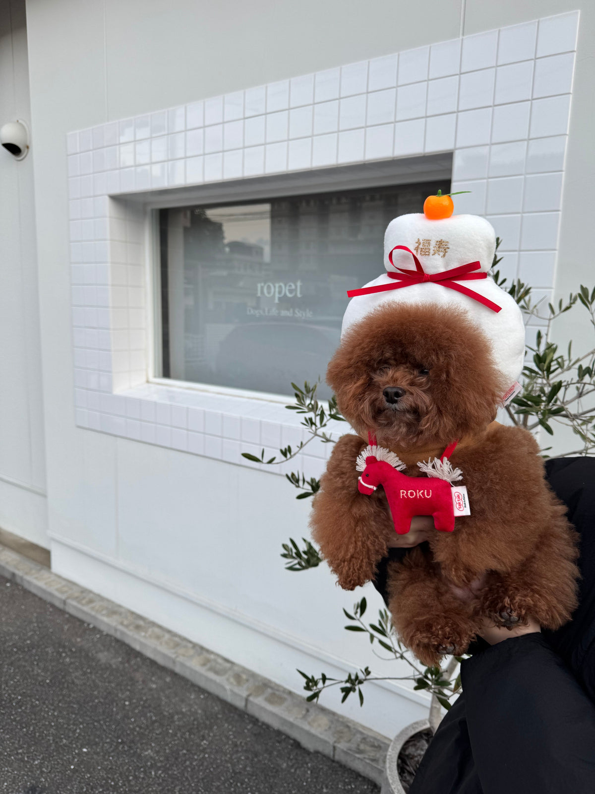 即納［tak!tak!tak!tak!］kagami mochi cap （帽子単品）