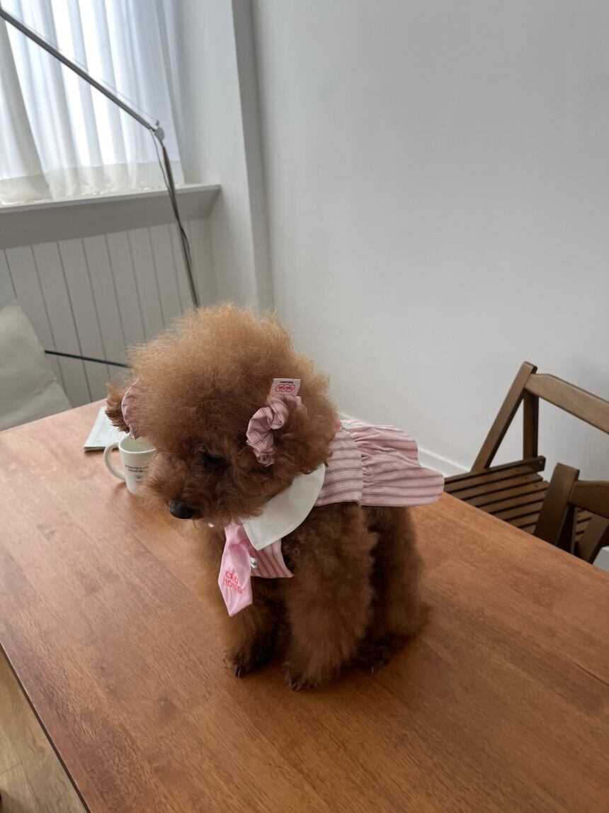 S即納［tak!tak!tak!tak!］Vintage Stripe Dress（baby pink）