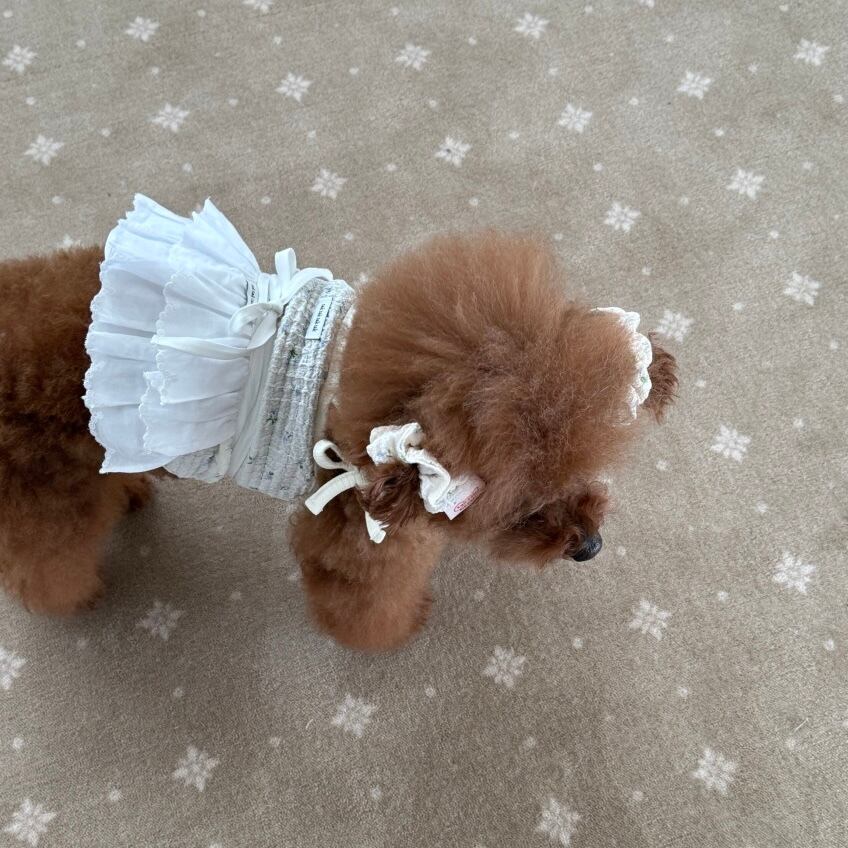 特典付き*［tak!tak!tak!tak!］Apple Flower Bustier