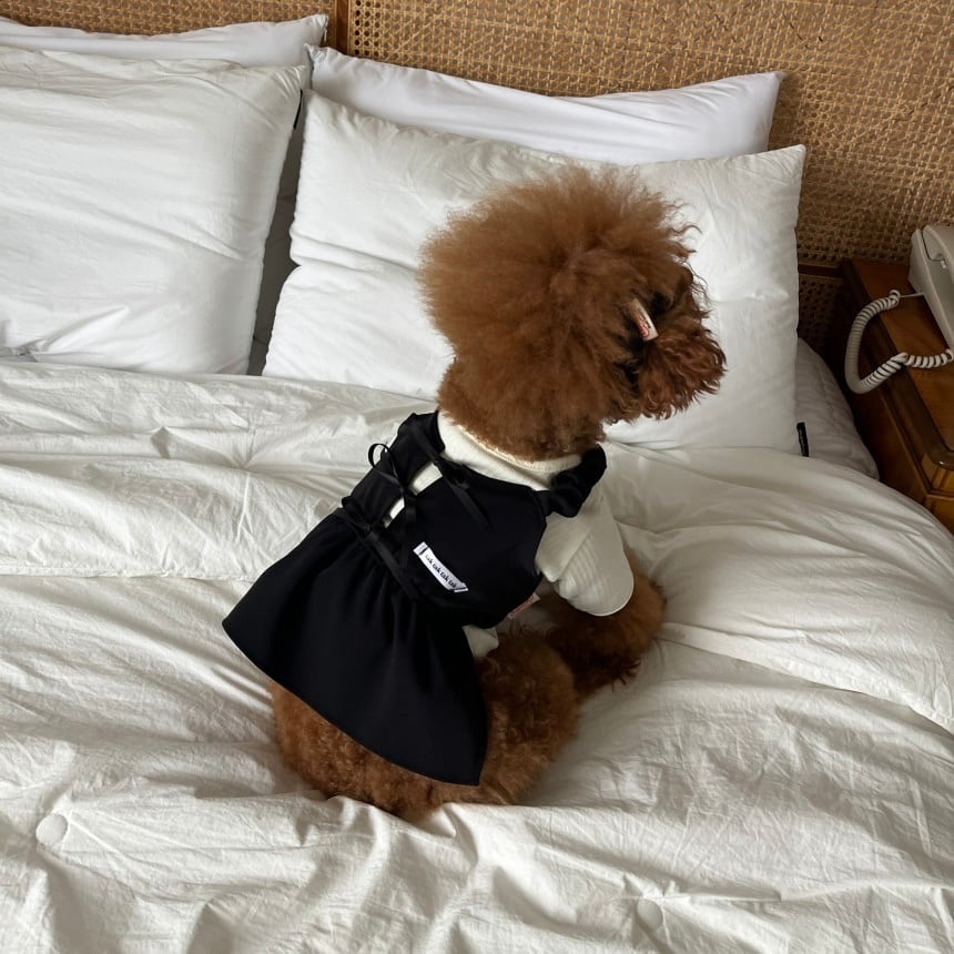 即納［tak!tak!tak!tak!］puppy layered gorge t-shirt (layered t shirt)
