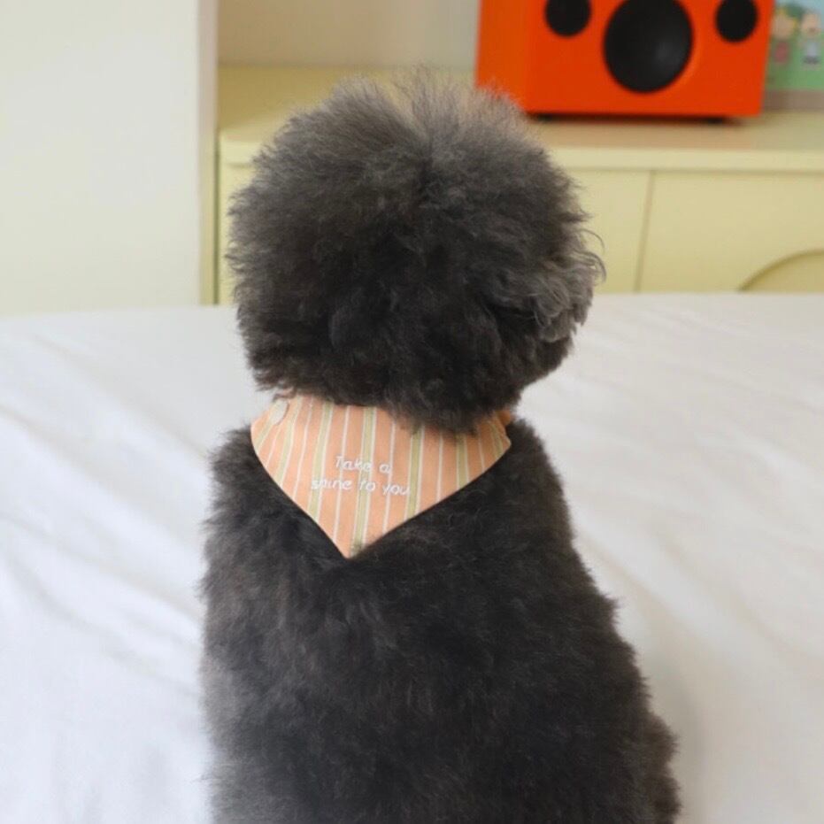 即納【mong n cheek】daily scarf (2color)