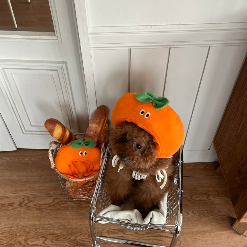 予約［tak!tak!tak!tak!］orange hat （帽子単品）