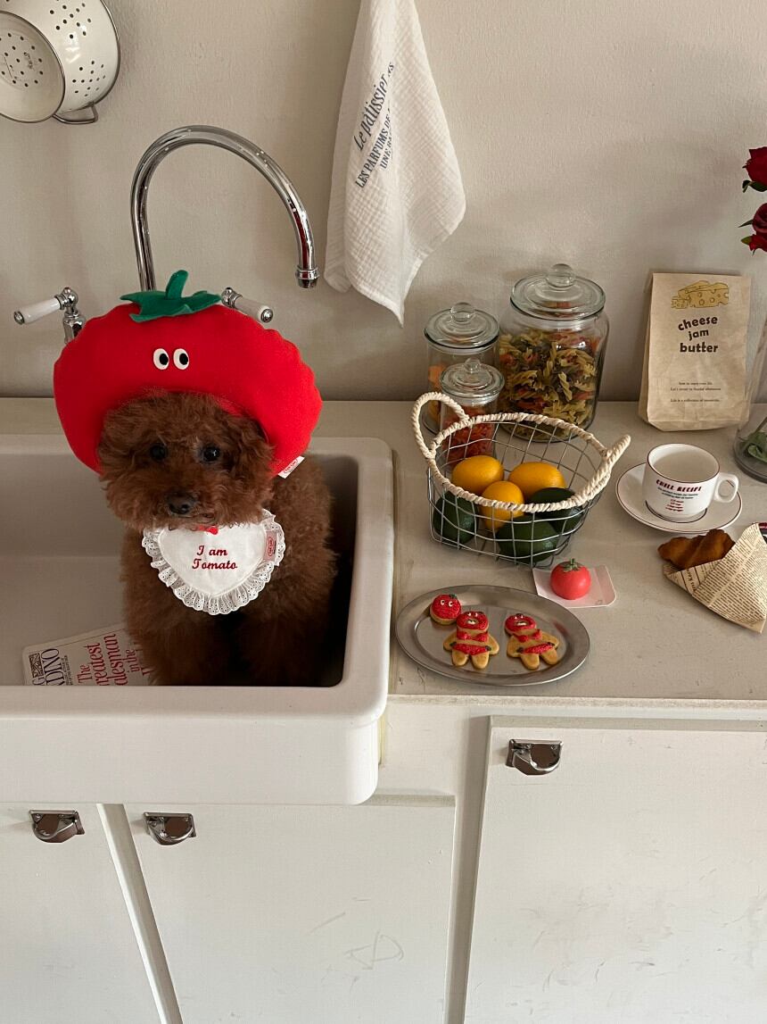 予約［tak!tak!tak!tak!］tomato hat （帽子単品）