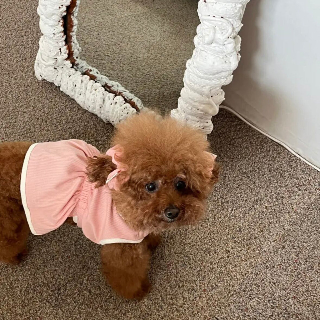 即納/袖なしワンピース［tak!tak!tak!tak!］ puppy fluffy one-piece
