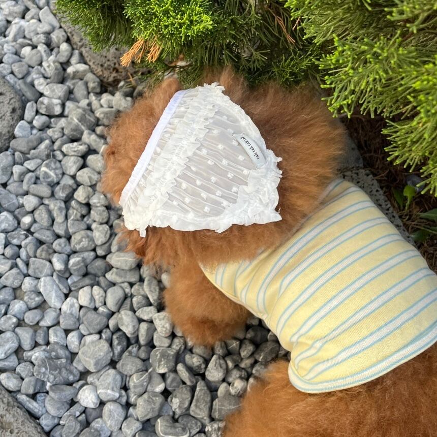 予約［tak!tak!tak!tak!］nerd stripe bustier ( lemon yellow )