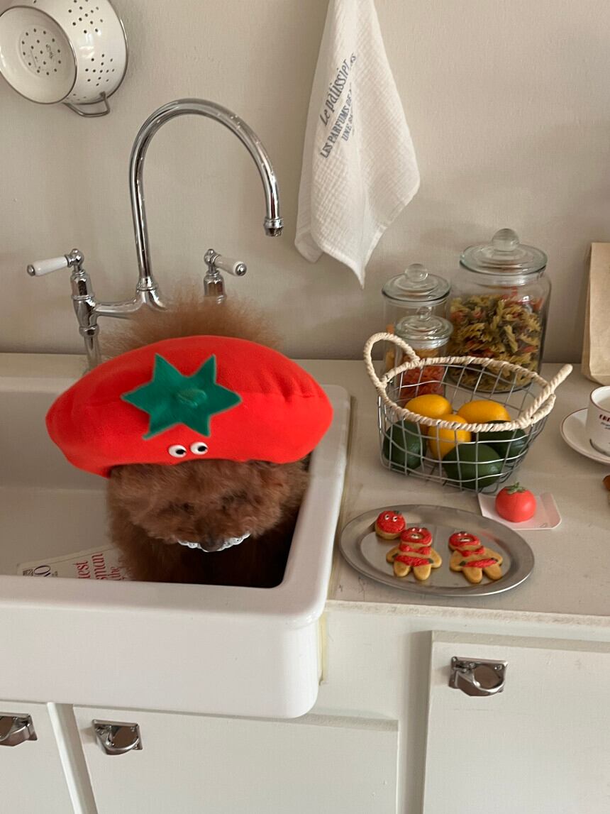 予約［tak!tak!tak!tak!］tomato hat （帽子単品）
