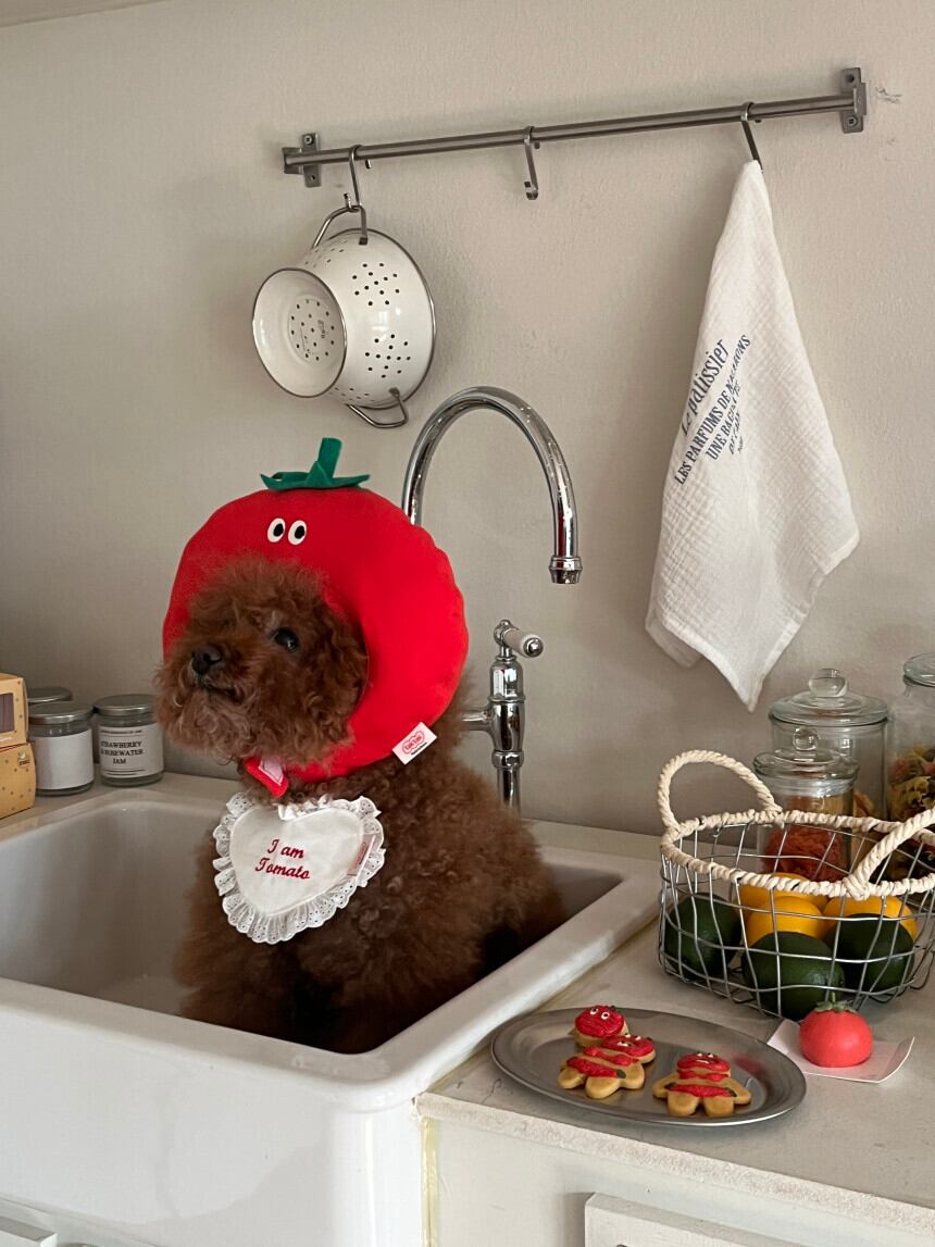 予約［tak!tak!tak!tak!］tomato hat （帽子単品）