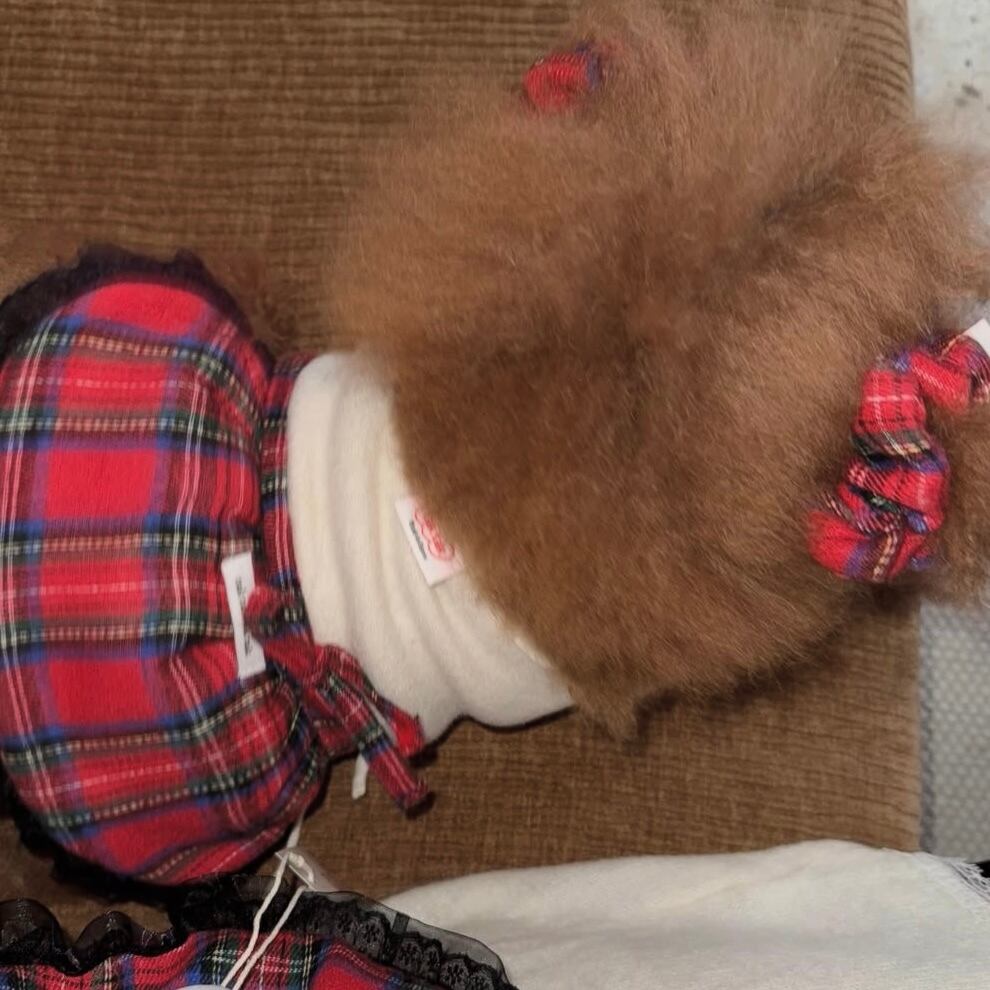予約［tak!tak!tak!tak!］Winter Tartan Check Series シュシュ　わんこ用