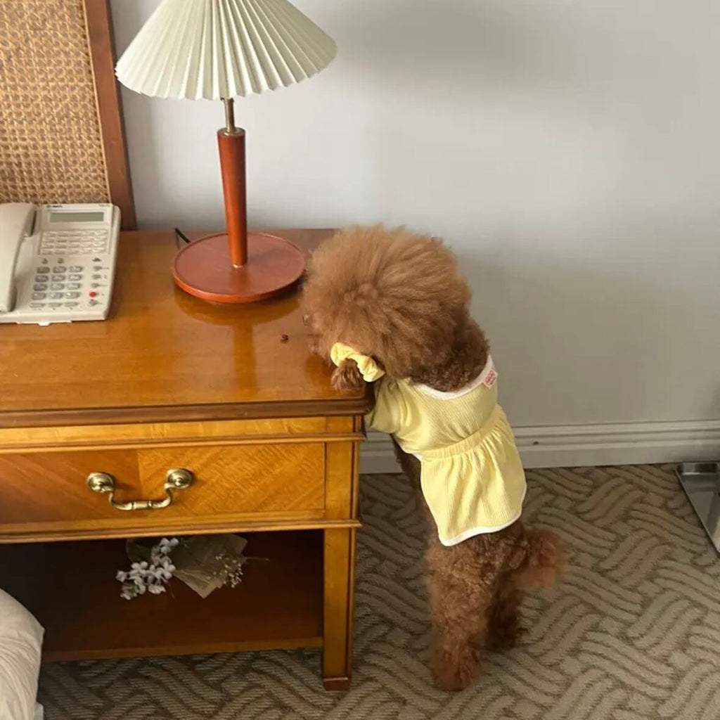即納/袖ありワンピース［tak!tak!tak!tak!］ puppy fluffy one-piece