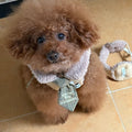 ネーム刺繍［tak!tak!tak!tak!］Custom Neck Tie (Check)