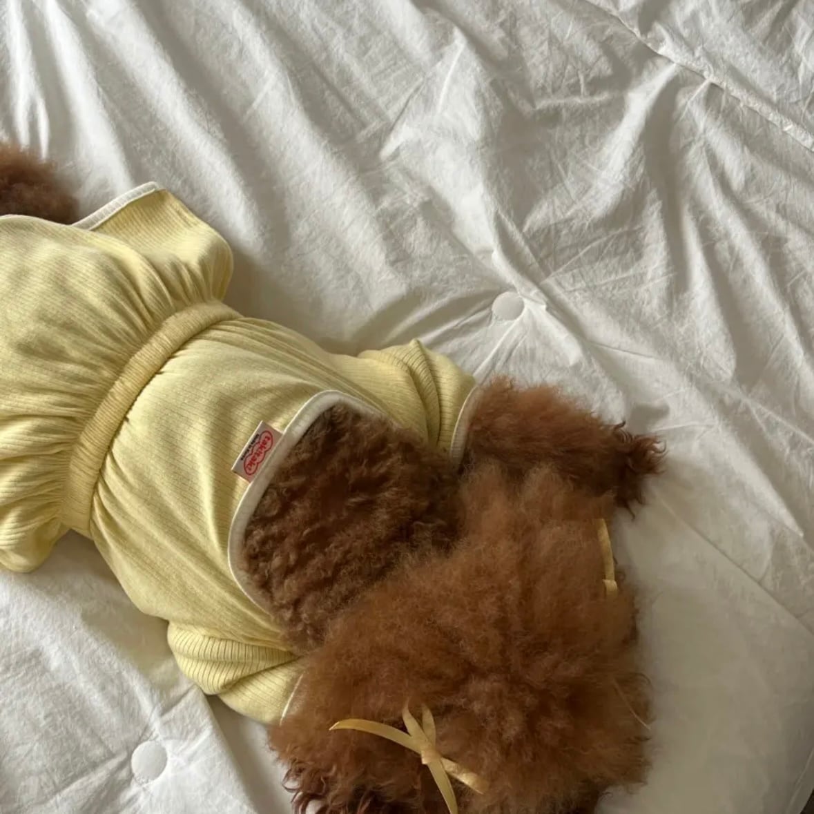 即納/袖ありワンピース［tak!tak!tak!tak!］ puppy fluffy one-piece
