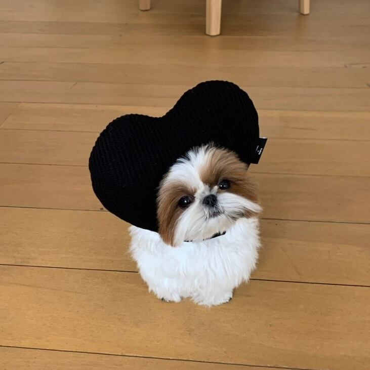 即納［ours,］Heart hat (black, stripe)