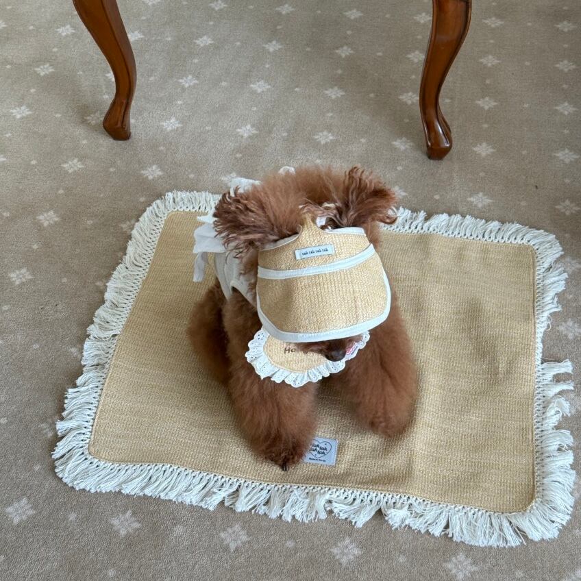 予約［tak!tak!tak!tak!］ Butter Rattan Mat (Non-slip)