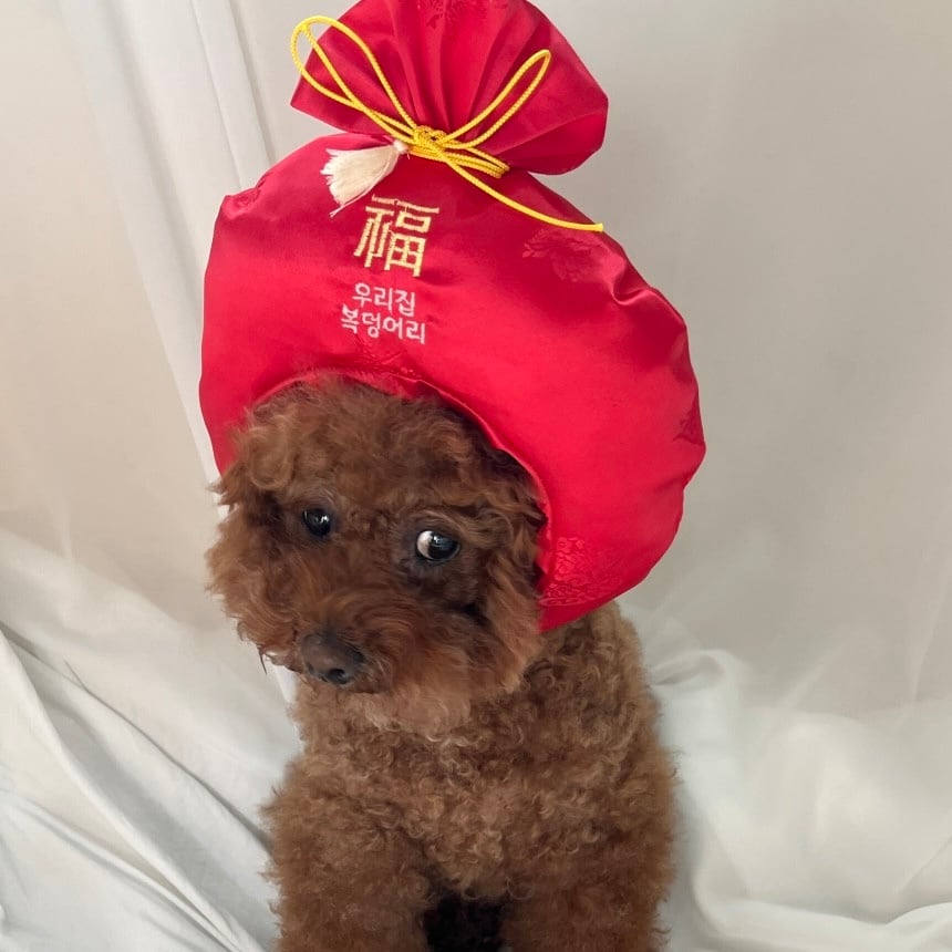 ［tak!tak!tak!tak!］ fuku cap（帽子単品）