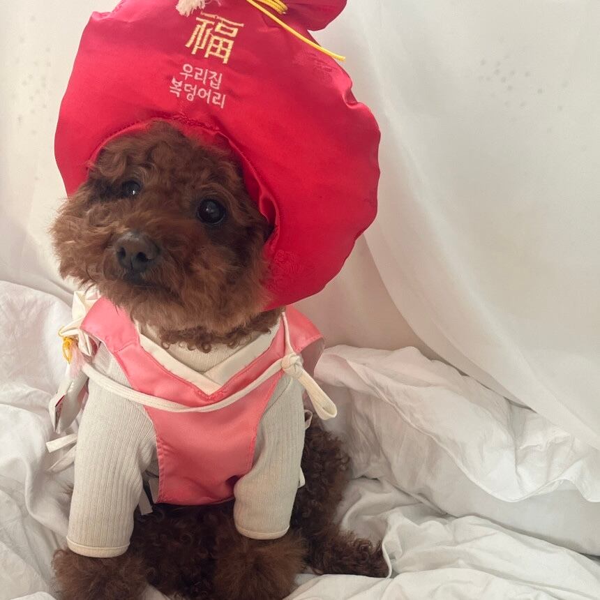 ［tak!tak!tak!tak!］ fuku cap（帽子単品）