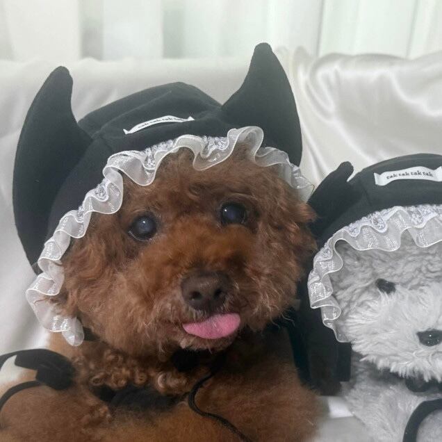 特典付き！［tak!tak!tak!tak!］Velvet Devils Halloween Bonnet