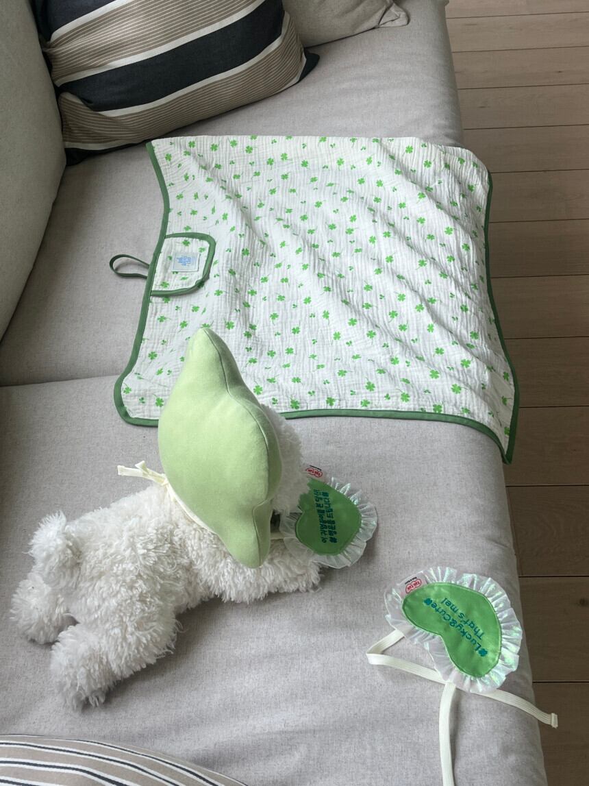 予約［tak!tak!tak!tak!］Clover cap （帽子単品）